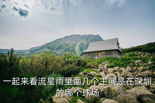 一起來看流星雨里面幾個主演是在深圳的哪個球場