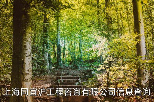 上海同宜滬工程咨詢有限公司信息查詢
