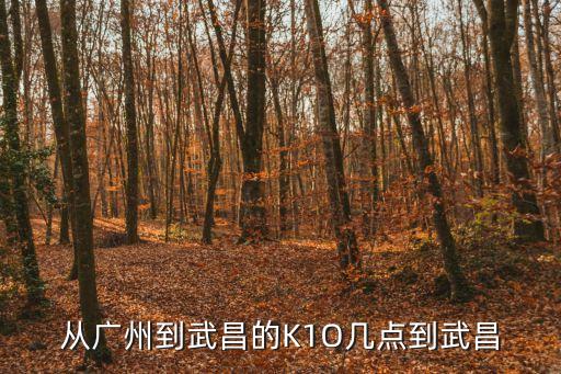 廣州至武昌動車時刻表，從廣州到武昌的K1O幾點到武昌