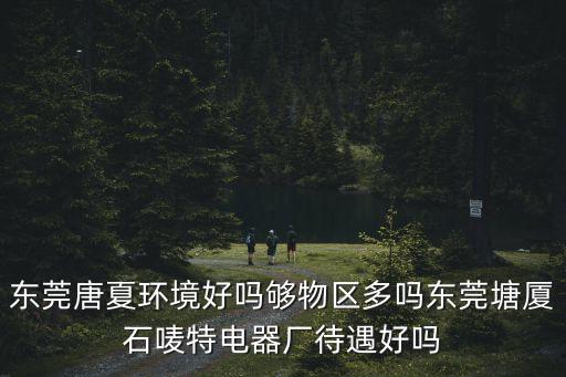 東莞唐夏環境好嗎夠物區多嗎東莞塘廈石嘜特電器廠待遇好嗎