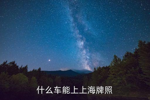 什么車能上上海牌照