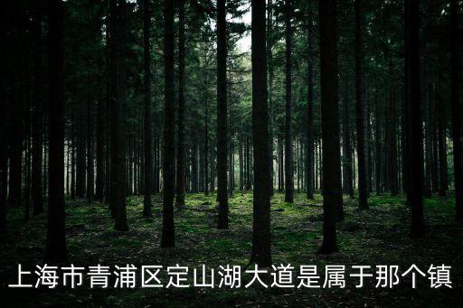 上海市青浦區定山湖大道是屬于那個鎮
