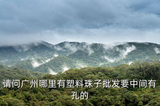 請問廣州哪里有塑料珠子批發(fā)要中間有孔的