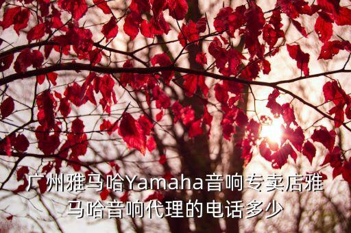 廣州雅馬哈Yamaha音響專賣店雅馬哈音響代理的電話多少