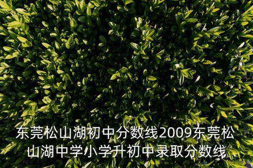 東莞松山湖初中分數線2009東莞松山湖中學小學升初中錄取分數線