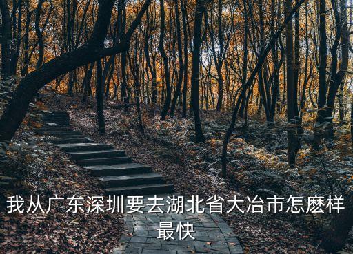 我從廣東深圳要去湖北省大冶市怎麼樣最快