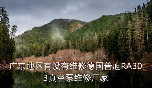 廣東地區(qū)有沒有維修德國普旭RA303真空泵維修廠家