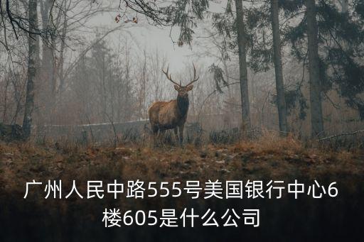 廣州人民中路555號美國銀行中心6樓605是什么公司