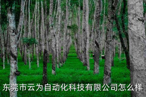 東莞云登光電科技，東莞哪有殘疾人工廠