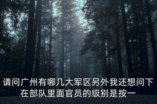 廣州軍區鐘友國職務，急急急關系著生命