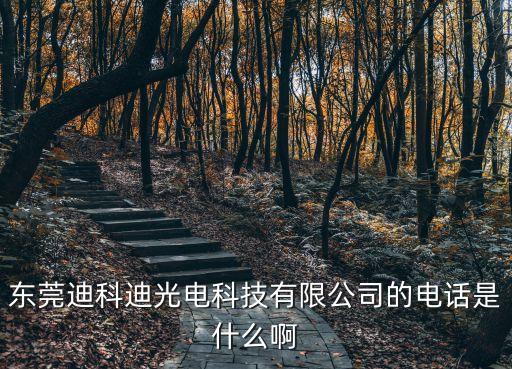 東莞迪科迪光電科技有限公司的電話是什么啊