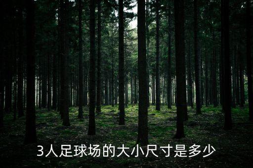 3人足球場的大小尺寸是多少