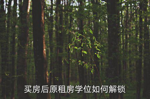 深圳租房學位被鎖定還有積分嗎，寶安申請學位社保斷了兩個月有無影響積分要重新累計嗎