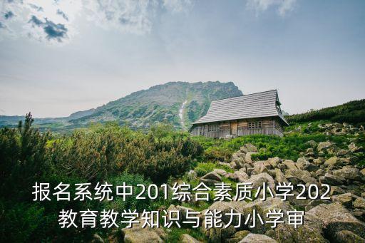 深圳小學報名初審未通過，深圳羅湖區幼升小沒有通過怎么辦