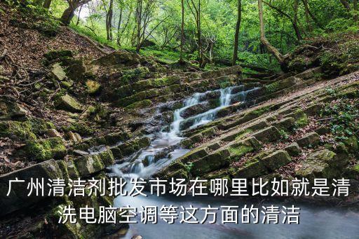 廣州清潔劑批發市場在哪里比如就是清洗電腦空調等這方面的清潔