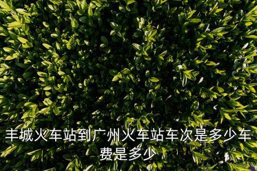 豐城到廣州的臥鋪，豐城到廣州的汽車是坐的還是躺的