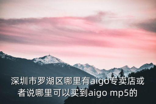 深圳市羅湖區哪里有aigo專賣店或者說哪里可以買到aigo mp5的