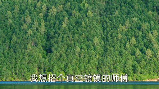 我想招個真空鍍鏌的師傅