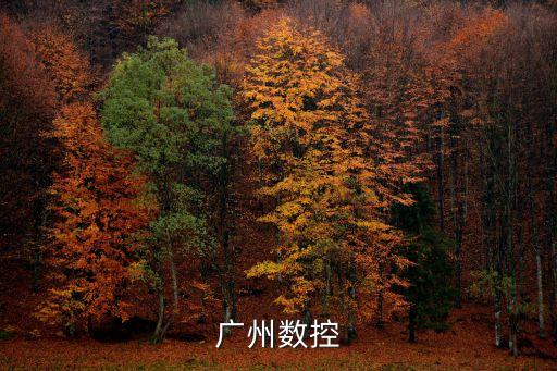 廣州數控