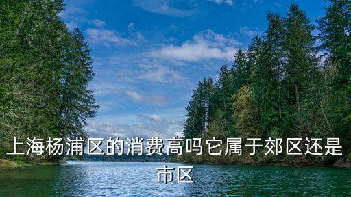 上海楊浦區(qū)的消費高嗎它屬于郊區(qū)還是市區(qū)