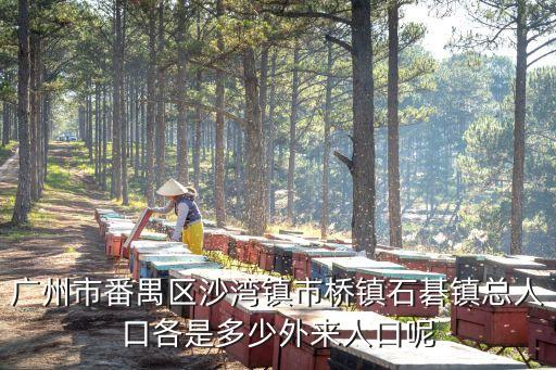 廣州番禺石樓外地人，廣州哪個區的外來人口最多