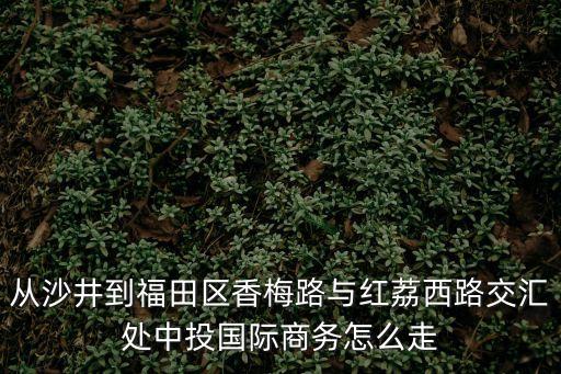 從沙井到福田區香梅路與紅荔西路交匯處中投國際商務怎么走
