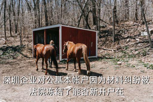深圳大批量凍結(jié)對公賬戶，深圳企業(yè)對公基本帳戶因為材料糾紛被法院凍結(jié)了能否新開戶在