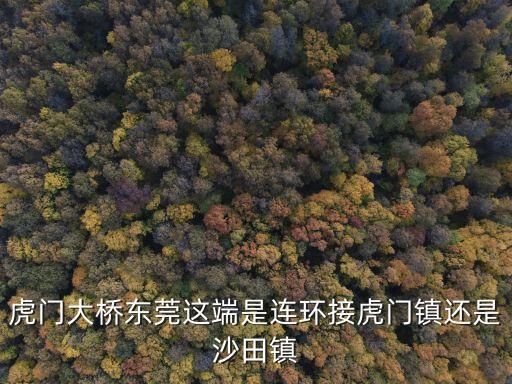 虎門大橋東莞這端是連環接虎門鎮還是沙田鎮
