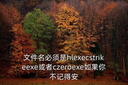 文件名必須是hlexecstrikeexe或者czeroexe如果你不記得安