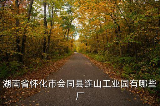 湖南省懷化市會同縣連山工業(yè)園有哪些廠