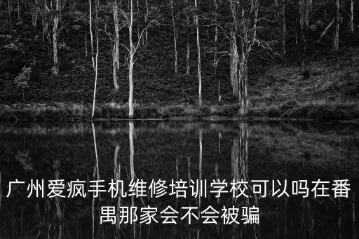 廣州愛瘋手機維修培訓學校可以嗎在番禺那家會不會被騙