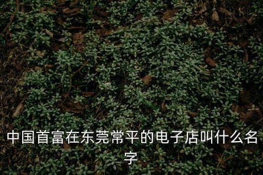 中國首富在東莞常平的電子店叫什么名字