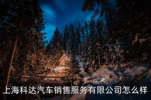 上海市招遠(yuǎn)路科達(dá)，上?？七_(dá)汽車(chē)銷(xiāo)售服務(wù)有限公司怎么樣
