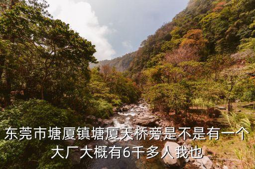 東莞塘廈鎮(zhèn)有靜音卷閘門廠嗎，請(qǐng)問(wèn)有誰(shuí)知道在東莞市塘廈鎮(zhèn)宏業(yè)工業(yè)區(qū)有沒(méi)有一所叫力達(dá)的電器制品