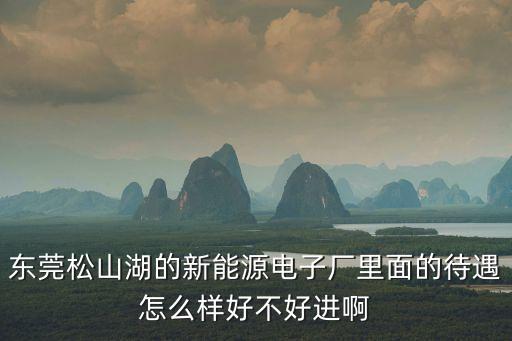 東莞松山湖的新能源電子廠里面的待遇怎么樣好不好進(jìn)啊
