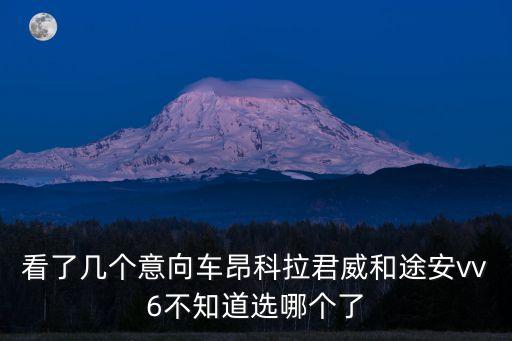看了幾個意向車昂科拉君威和途安vv6不知道選哪個了