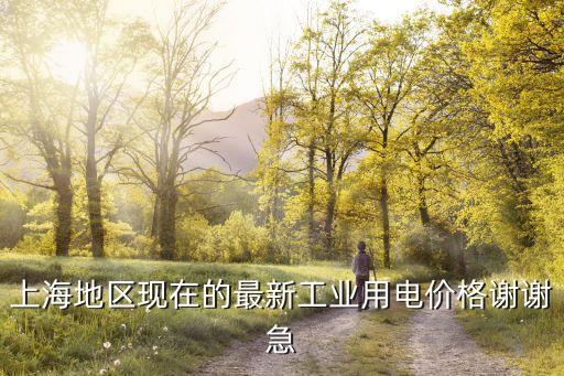 上海地區(qū)現(xiàn)在的最新工業(yè)用電價(jià)格謝謝急