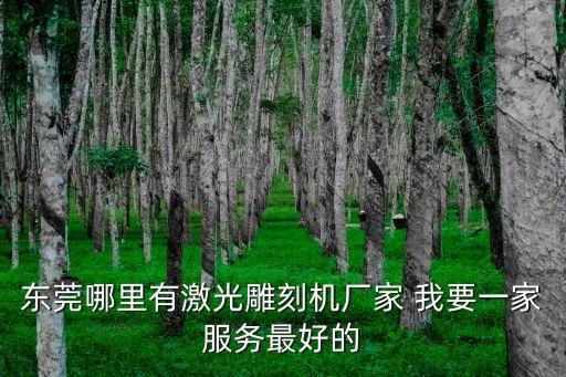 東莞力星激光切割，東莞哪里有激光雕刻機廠家 我要一家服務(wù)最好的