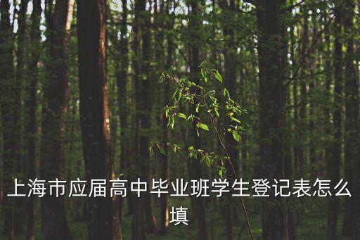 上海市滿18畢業登記，上海市應屆高中畢業班學生登記表怎么填