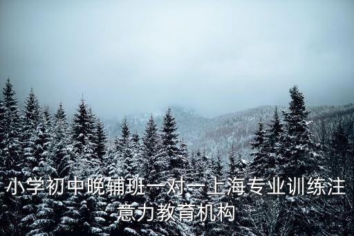 上海市徐匯區東匯育進修學校，徐匯區學習計算機的學校有嗎在哪里
