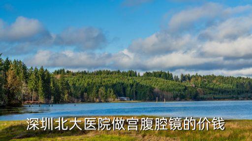 腹腔鏡 深圳北大醫院，在市人民醫院造影查出輸卵管堵塞想去深圳北大做宮腹腔鏡手術