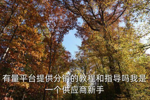 有量平臺提供分銷的教程和指導嗎我是一個供應商新手