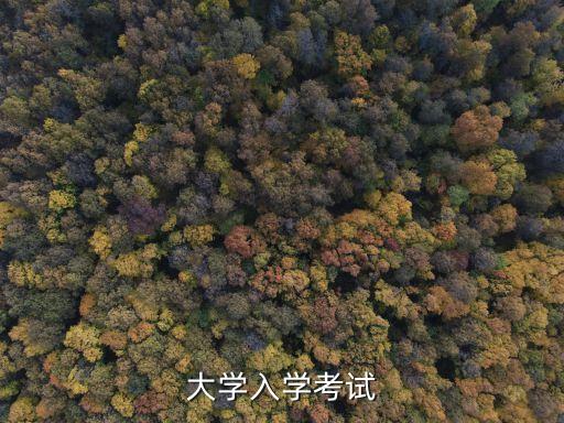 大學入學考試