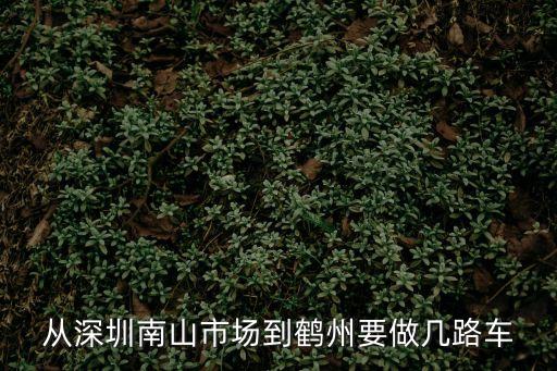 從深圳南山市場到鶴州要做幾路車