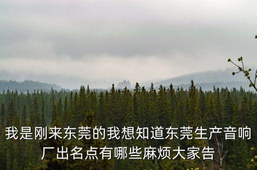 我是剛來東莞的我想知道東莞生產音響廠出名點有哪些麻煩大家告
