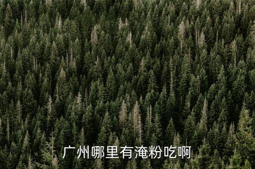 廣州哪里有陵水酸粉，廣州哪里有海南陵水酸粉吃