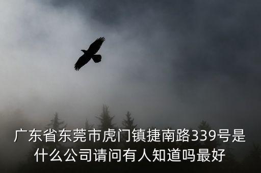 廣東省東莞市虎門鎮捷南路339號是什么公司請問有人知道嗎最好