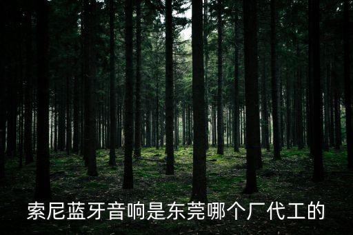 索尼藍牙音響是東莞哪個廠代工的