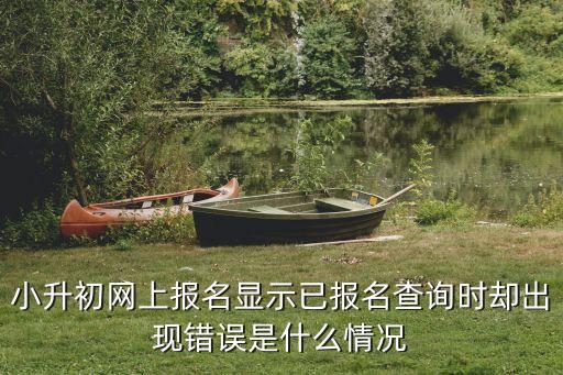 深圳小升初網上報名為什么登不上，為什么小升初報名網上注冊不上