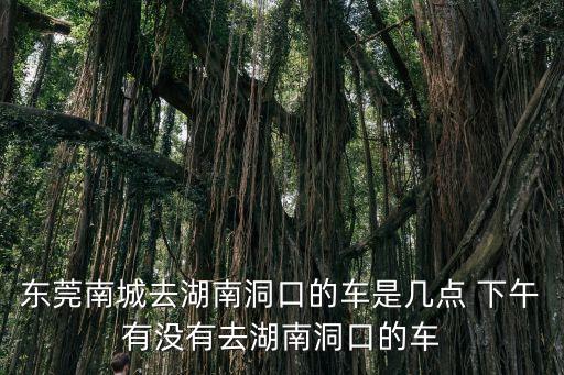 東莞南城去湖南洞口的車是幾點 下午有沒有去湖南洞口的車